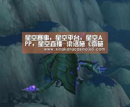 星空赛事，星空平台，星空APP，星空直播