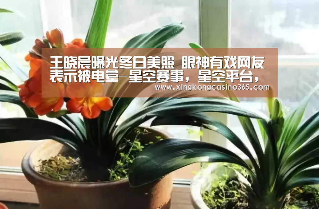 王晓晨曝光冬日美照 眼神有戏网友表示被电晕-星空赛事,星空平台,星空APP,星空直播(图1) 星空赛事,星空平台,星空APP,星空直播