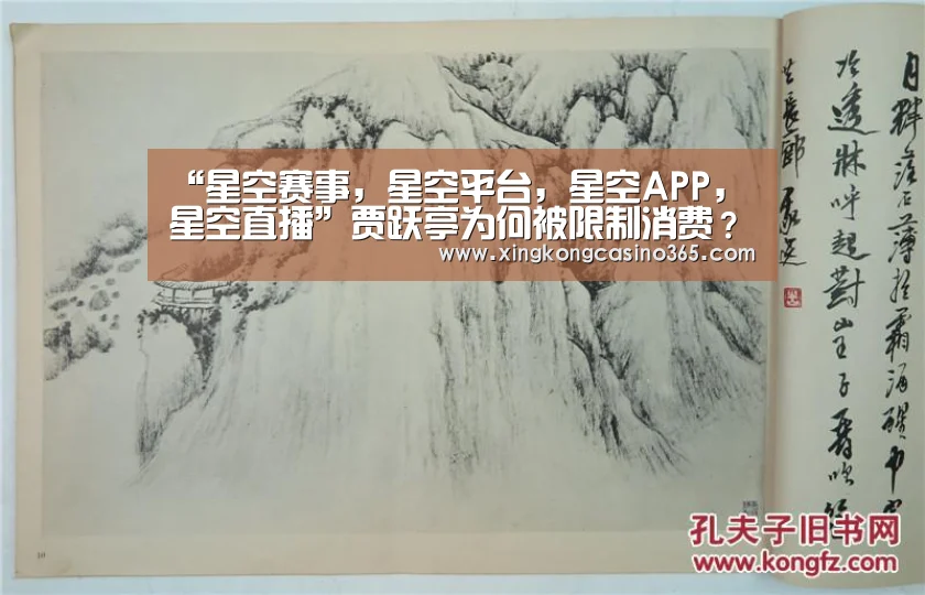 星空赛事，星空平台，星空APP，星空直播