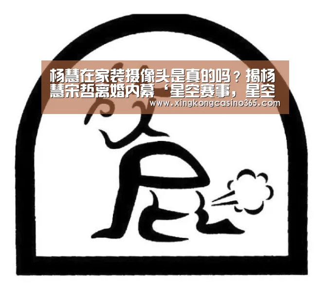 杨慧在家装摄像头是真的吗?揭杨慧宋哲离婚内幕‘星空赛事,星空平台,星空APP,星空直播’(图2) 星空赛事,星空平台,星空APP,星空直播