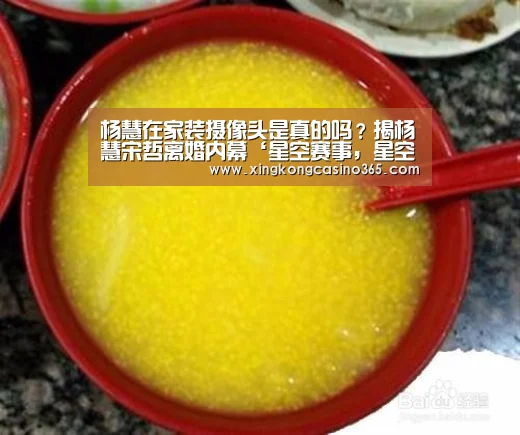 杨慧在家装摄像头是真的吗?揭杨慧宋哲离婚内幕‘星空赛事,星空平台,星空APP,星空直播’(图1) 星空赛事,星空平台,星空APP,星空直播